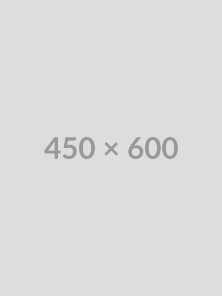 450x600